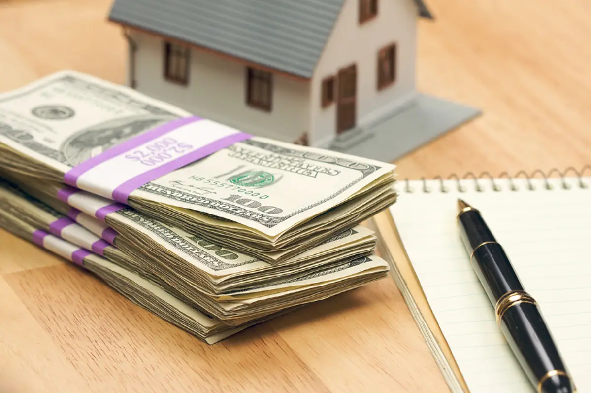 Why the Most Comfortable Tampa Rentals Can Become the Most Expensive