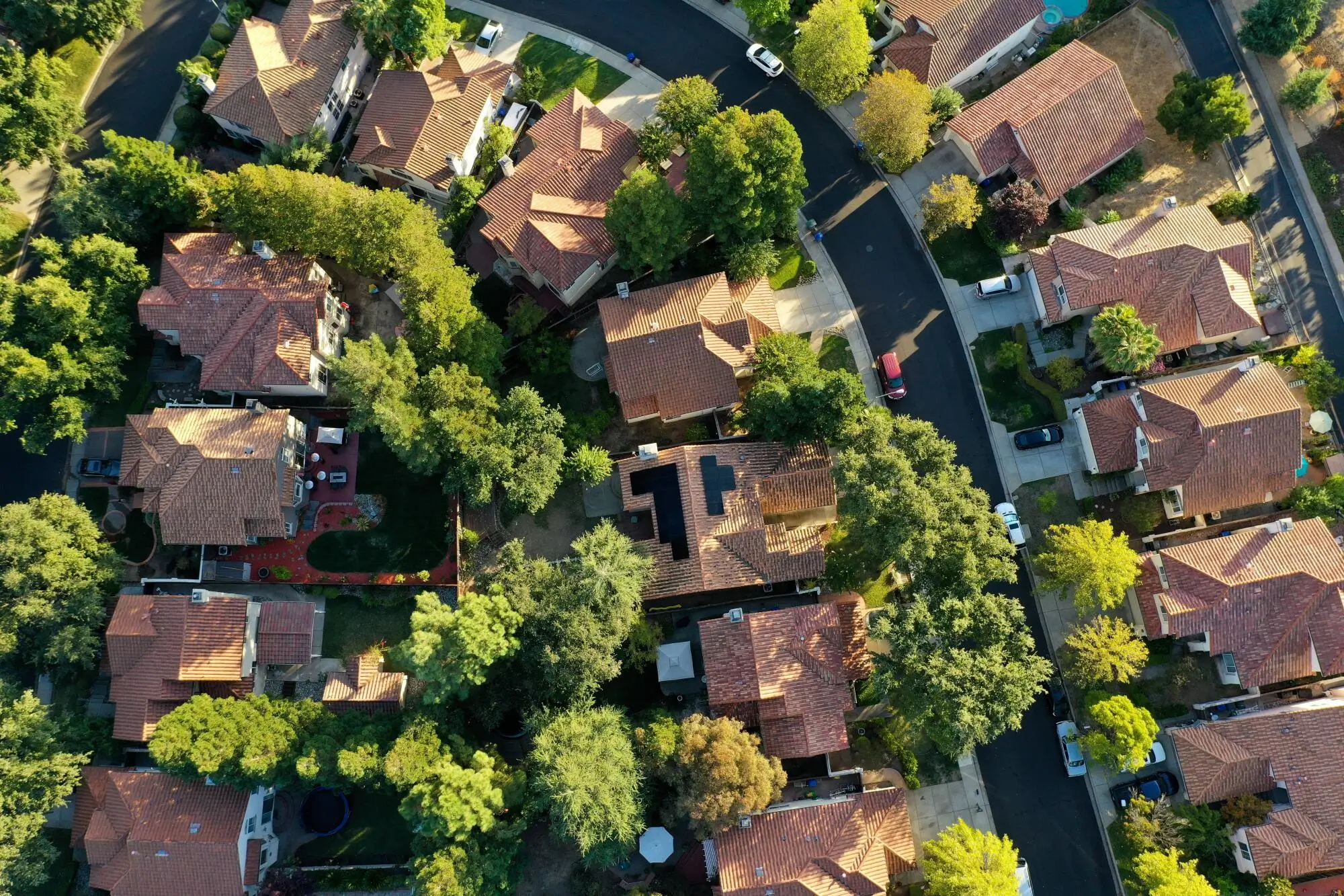 Master Sustainable Property Management Practices in Tampa, FL